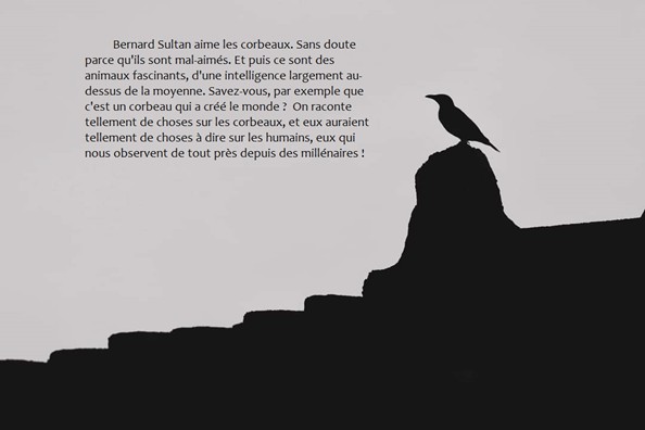 Featured image for “Des Corps Vidés”