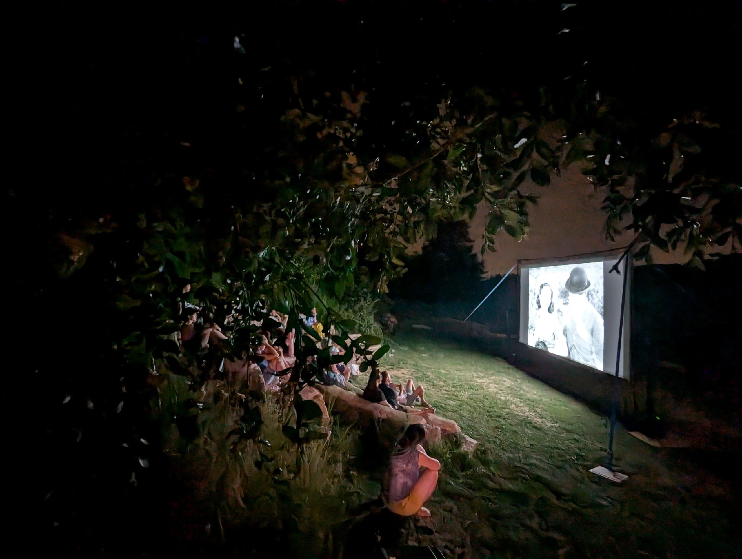 Featured image for “Cinéma de plein air au théâtre de verdure”